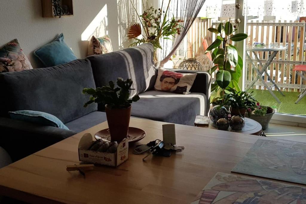 Appartement Complet Et Parking Protege La Teste-de-Buch Dış mekan fotoğraf